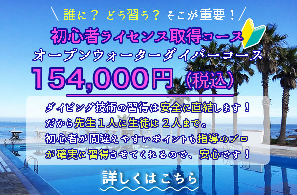 初心者ライセンス取得コースオープンウォーターダイバーコース詳しくはこちら