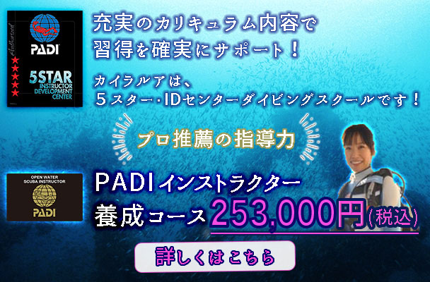 充実のカリキュラム内容で習得を確実にサポートプロ推薦の指導力PADIインストラクター養成コース詳しくはこちら
