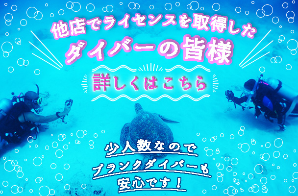 他店でライセンスを取得したダイバーの皆様詳しくはこちら