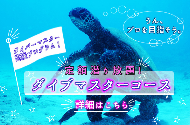 定額潜り放題ダイブマスターコース詳細はこちら